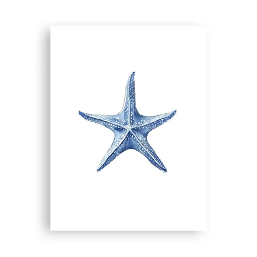 Affiche - Poster - Étoile de mer - 30x40 cm