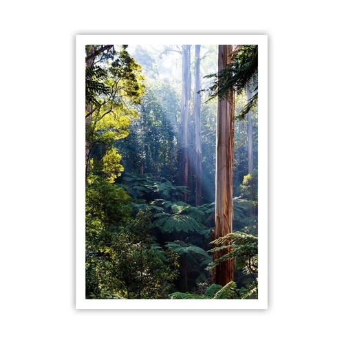 Affiche - Poster - Fable de la forêt - 70x100 cm