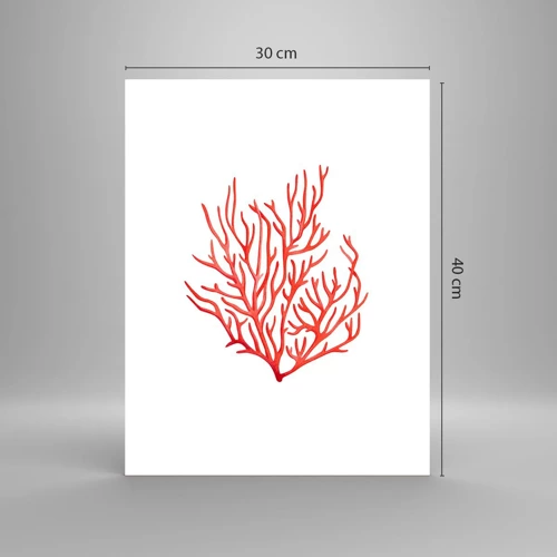 Affiche - Poster - Filigrane de corail - 30x40 cm