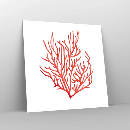 Affiche - Poster - Filigrane de corail - 50x50 cm