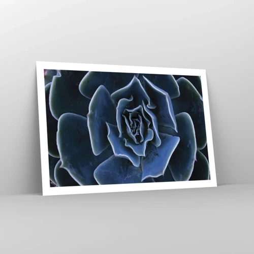 Affiche - Poster - Fleur du désert - 91x61 cm