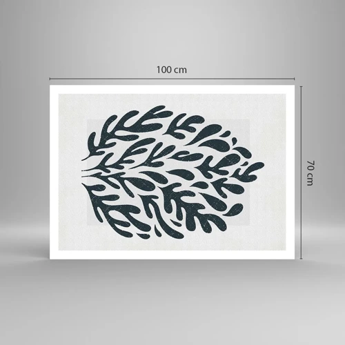 Affiche - Poster - Formes de la nature - 100x70 cm