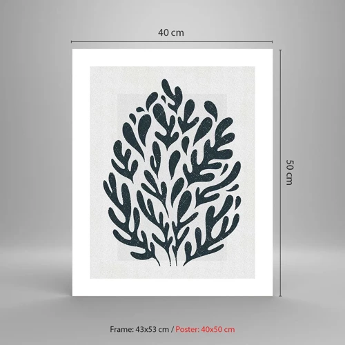 Affiche - Poster - Formes de la nature - 40x50 cm