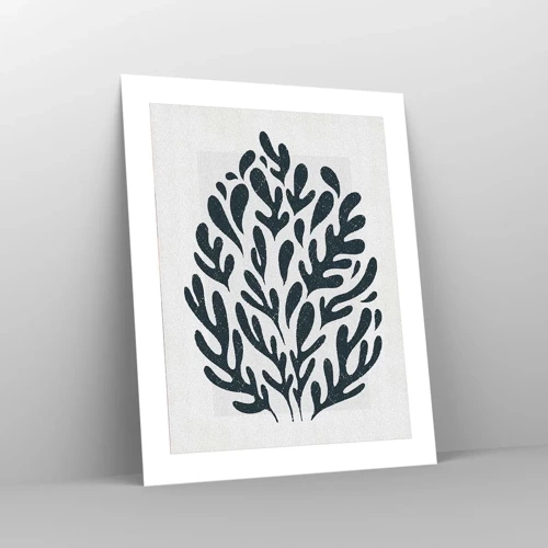 Affiche - Poster - Formes de la nature - 40x50 cm