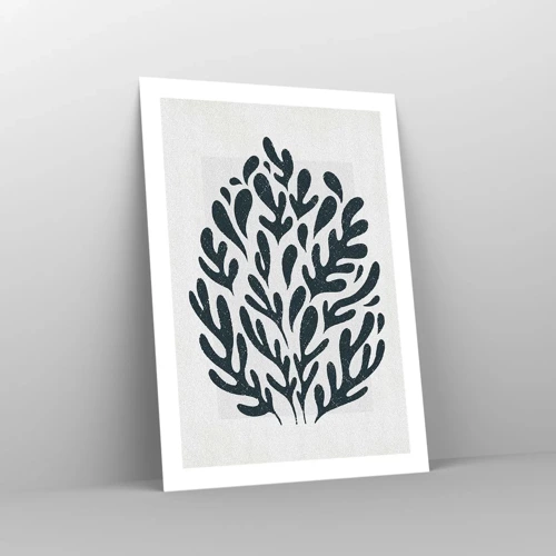 Affiche - Poster - Formes de la nature - 50x70 cm