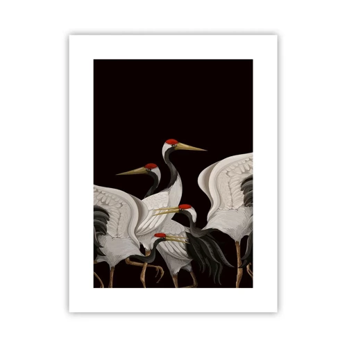 Affiche - Poster - Histoire d'oiseaux - 30x40 cm