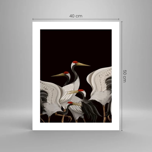 Affiche - Poster - Histoire d'oiseaux - 40x50 cm