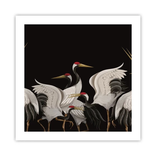 Affiche - Poster - Histoire d'oiseaux - 50x50 cm