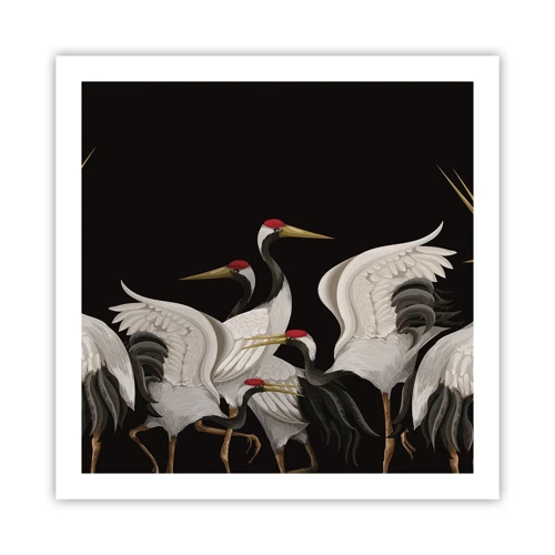 Affiche - Poster - Histoire d'oiseaux - 60x60 cm