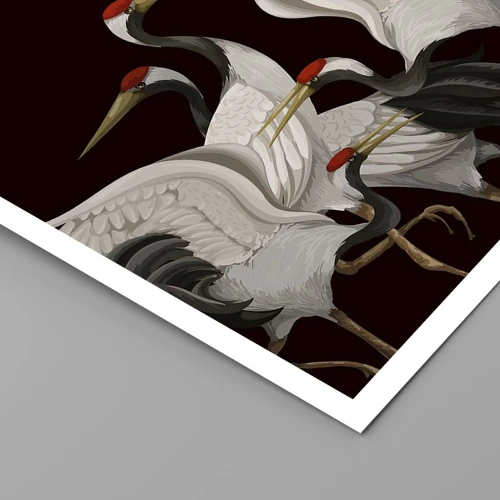 Affiche - Poster - Histoire d'oiseaux - 70x100 cm