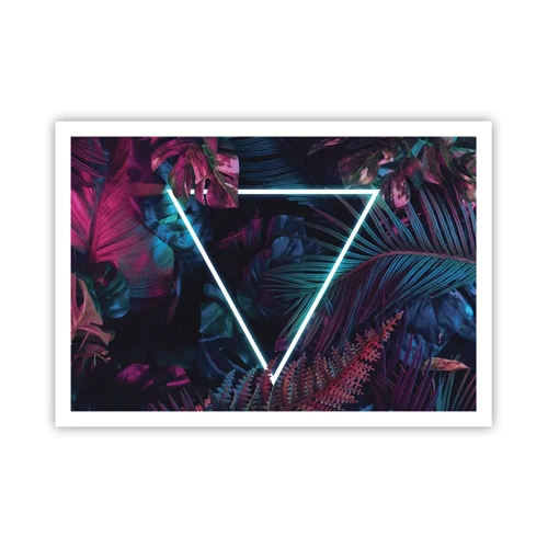 Affiche - Poster - Jardin de style disco - 100x70 cm