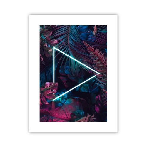 Affiche - Poster - Jardin de style disco - 30x40 cm