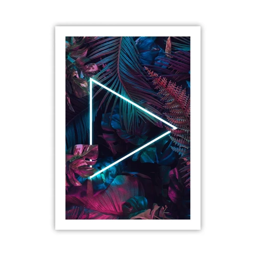 Affiche - Poster - Jardin de style disco - 50x70 cm