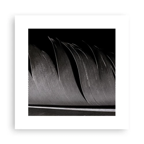 Affiche - Poster - La plume – un design magnifique - 30x30 cm