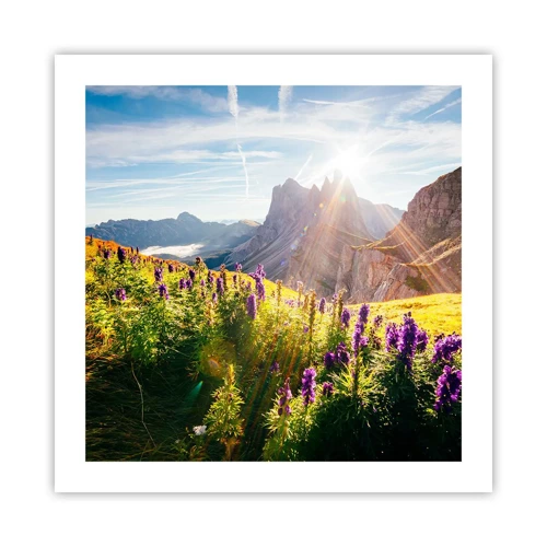 Affiche - Poster - La vie secrète des herbes - 50x50 cm