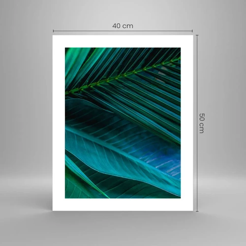 Affiche - Poster - L'anatomie du vert - 40x50 cm