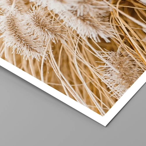 Affiche - Poster - Le bruissement doré de l'herbe - 40x40 cm