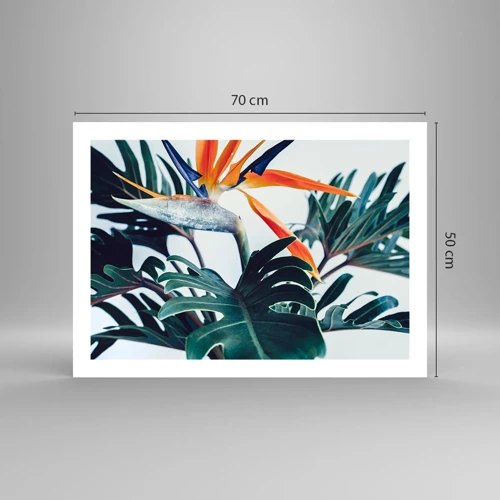 Affiche - Poster - Le buisson oiseaux - 70x50 cm