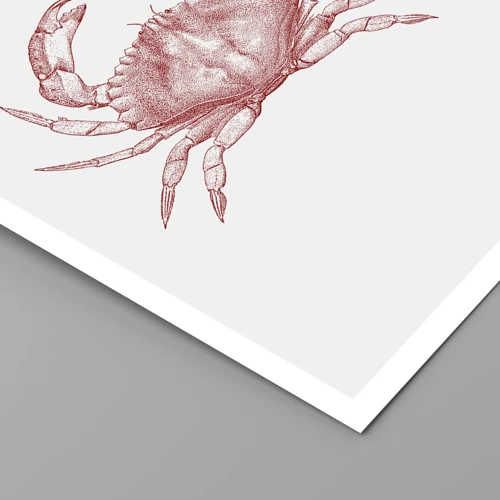 Affiche - Poster - Le crabe des crabes - 50x70 cm