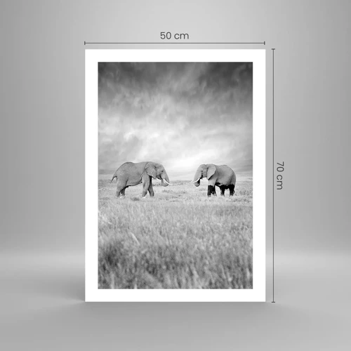 Affiche - Poster - Le gris est beau - 50x70 cm