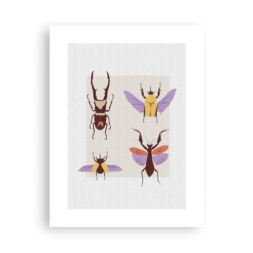Affiche - Poster - Le monde des insectes - 30x40 cm