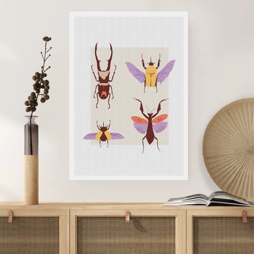 Affiche - Poster - Le monde des insectes - 61x91 cm