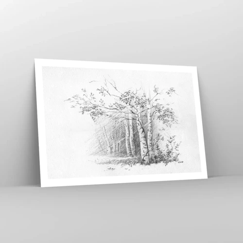 Affiche - Poster - Lumière d'une forêt de bouleaux - 91x61 cm