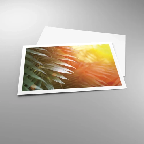 Affiche - Poster - Matinée dans la jungle - 91x61 cm