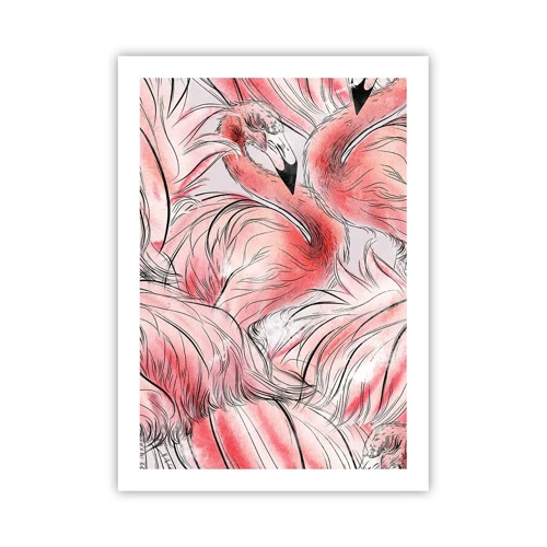 Affiche - Poster - Oiseau corps de ballet - 50x70 cm