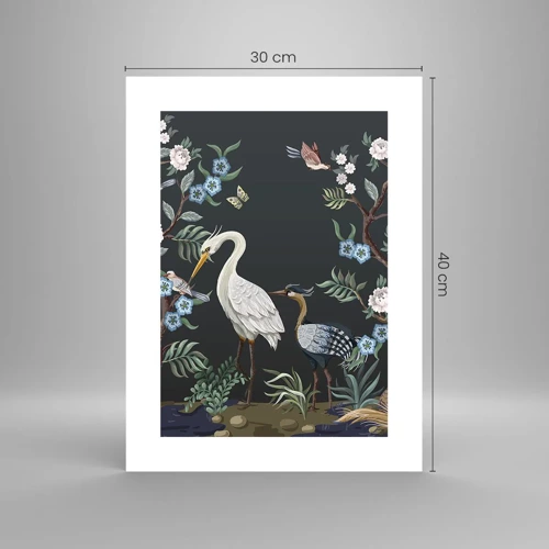 Affiche - Poster - Parade d'oiseaux - 30x40 cm