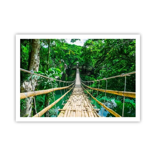 Affiche - Poster - Pont de singe en pleine nature - 100x70 cm