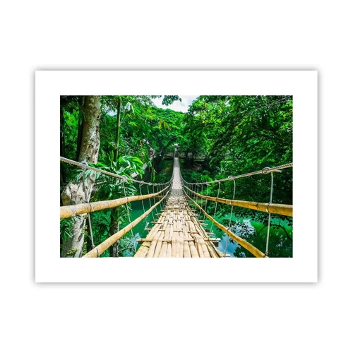 Affiche - Poster - Pont de singe en pleine nature - 40x30 cm