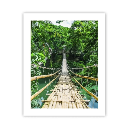 Affiche - Poster - Pont de singe en pleine nature - 40x50 cm
