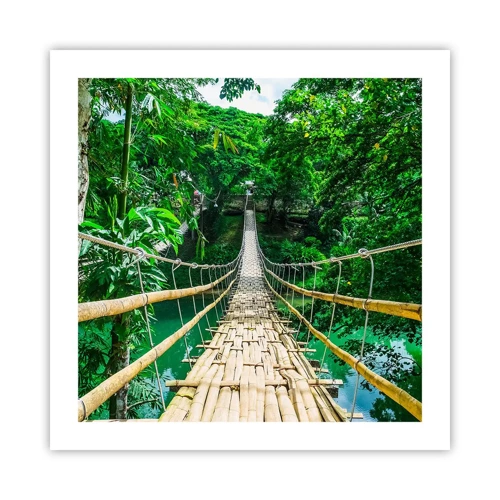 Affiche - Poster - Pont de singe en pleine nature - 50x50 cm