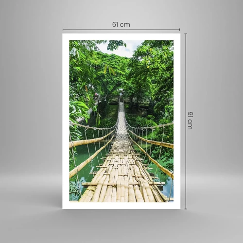 Affiche - Poster - Pont de singe en pleine nature - 61x91 cm