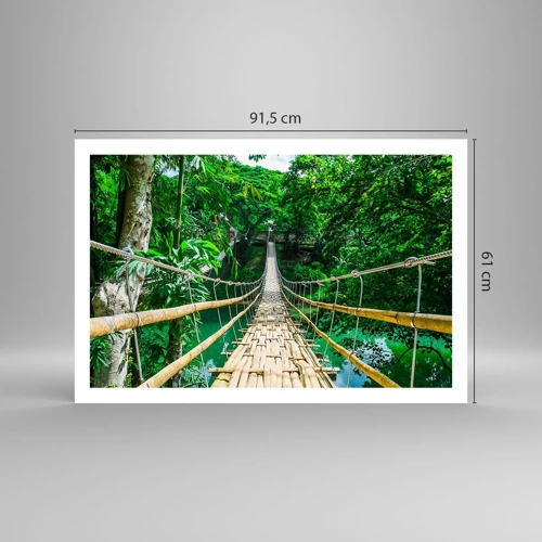 Affiche - Poster - Pont de singe en pleine nature - 91x61 cm