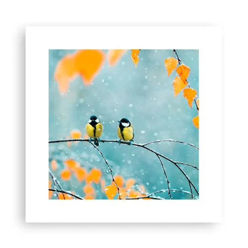 Affiche - Poster - Potins d'oiseaux - 30x30 cm