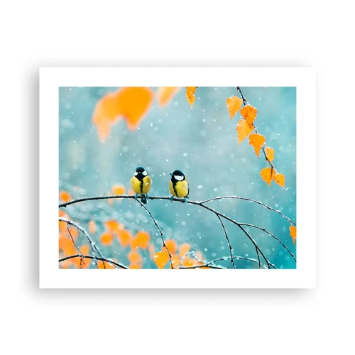 Affiche - Poster - Potins d'oiseaux - 50x40 cm