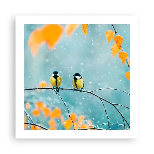 Affiche - Poster - Potins d'oiseaux - 50x50 cm