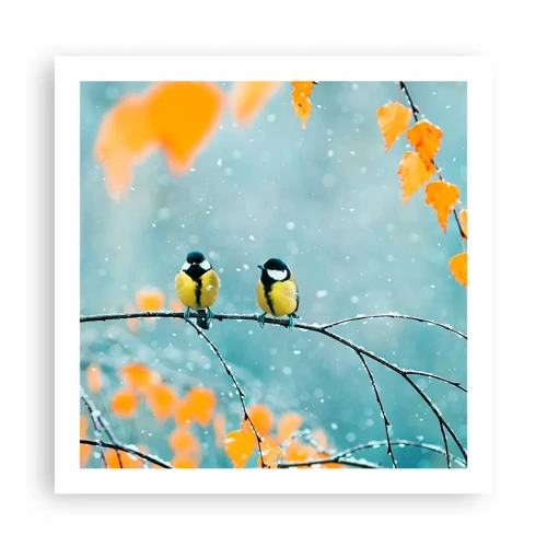 Affiche - Poster - Potins d'oiseaux - 60x60 cm