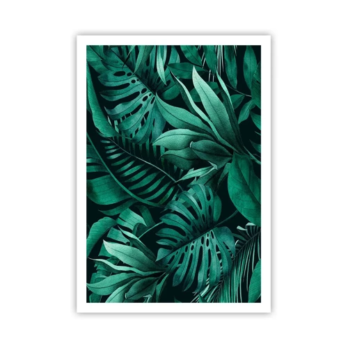 Affiche - Poster - Profondeur du vert tropical - 70x100 cm