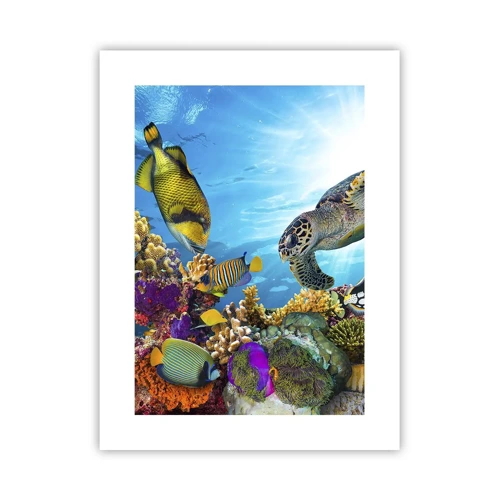 Affiche - Poster - Promenade de corail - 30x40 cm