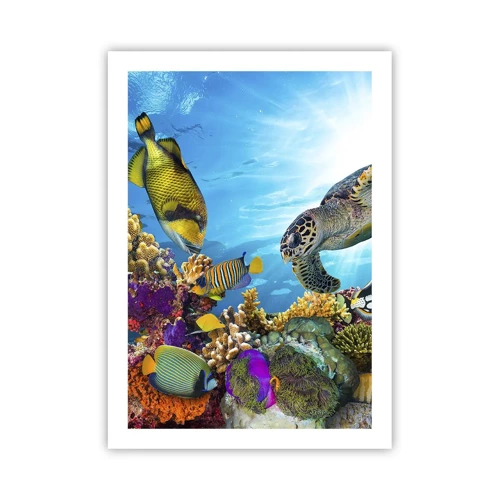 Affiche - Poster - Promenade de corail - 50x70 cm