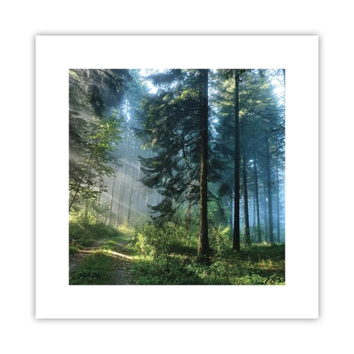 Affiche - Poster - Rayonnant le matin - 30x30 cm