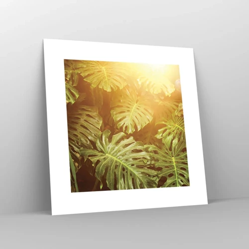 Affiche - Poster - Se fondre dans la verdure - 30x30 cm