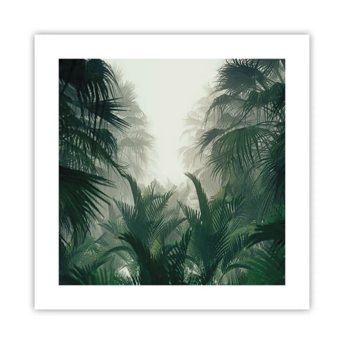 Affiche - Poster - Secret tropical - 40x40 cm
