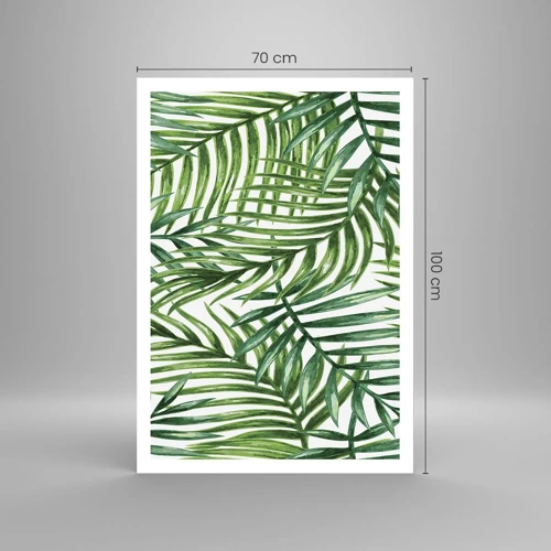 Affiche - Poster - Sous la canopée verte - 70x100 cm