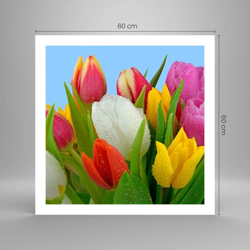 Affiche - Poster - Un arc-en-ciel fleuri en gouttes de rosée - 60x60 cm