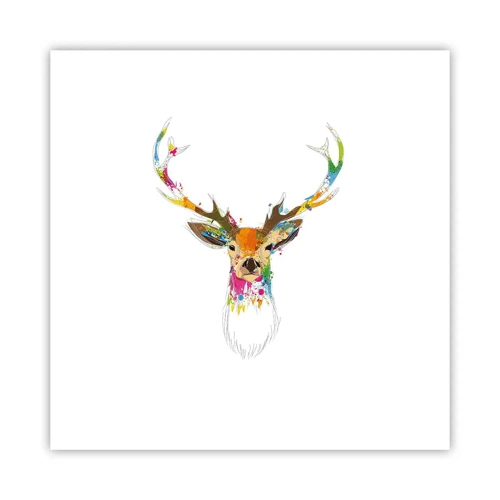 Affiche - Poster - Un cerf doux baigné de couleur - 30x30 cm
