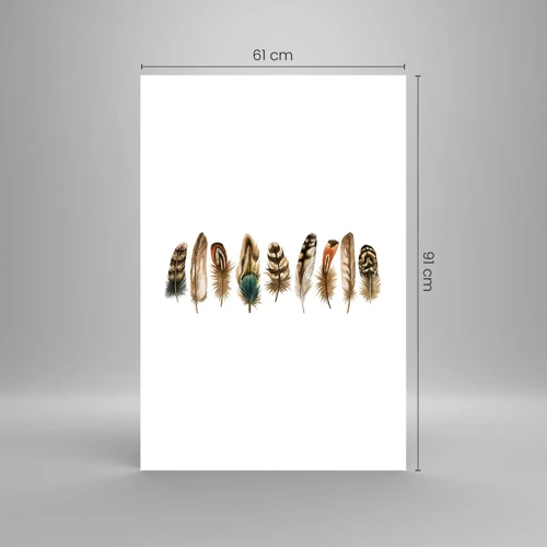 Affiche - Poster - Variation à plumes - 61x91 cm